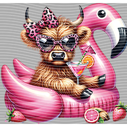 Cow-NIU 2405